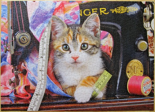 Jumbo 01875 Puzzle zu 1000-Teilen, &quot;Katzen - Spielstunde&quot;